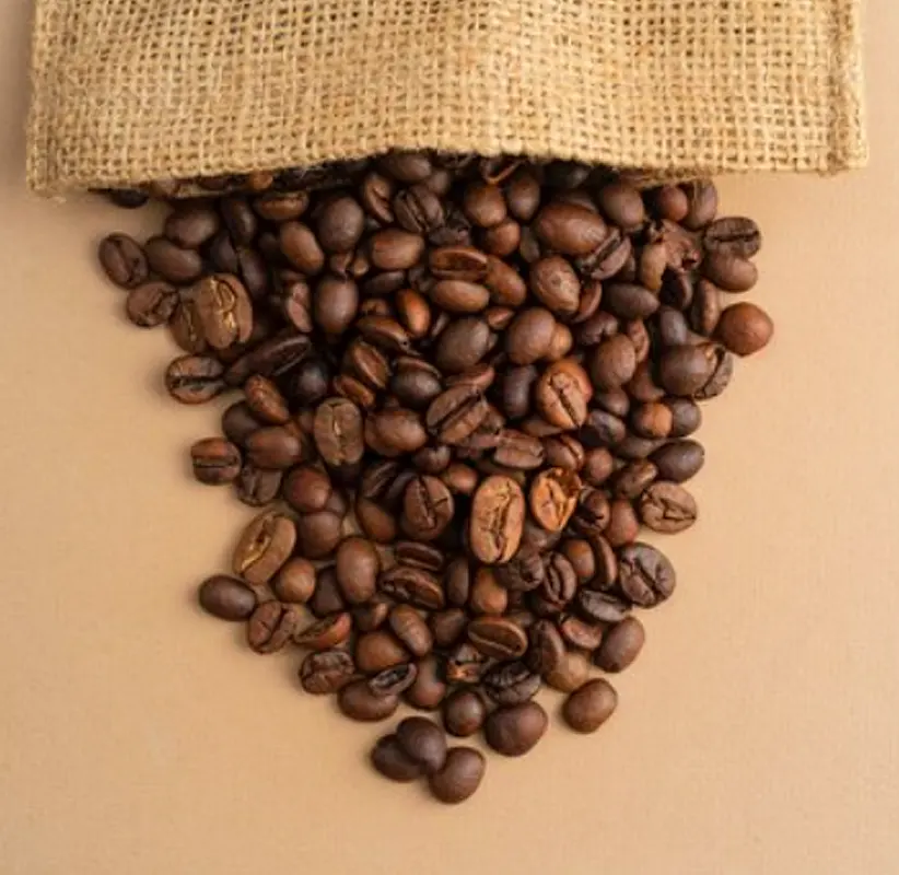 Product Big Img