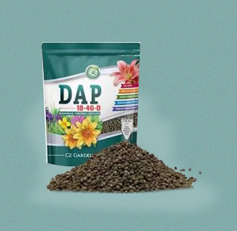Product Big Img