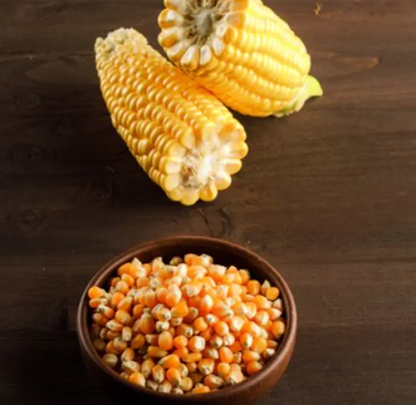 Product Big Img