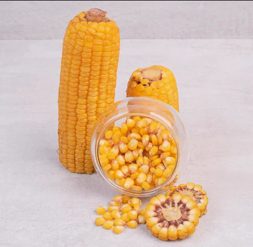 Product Big Img